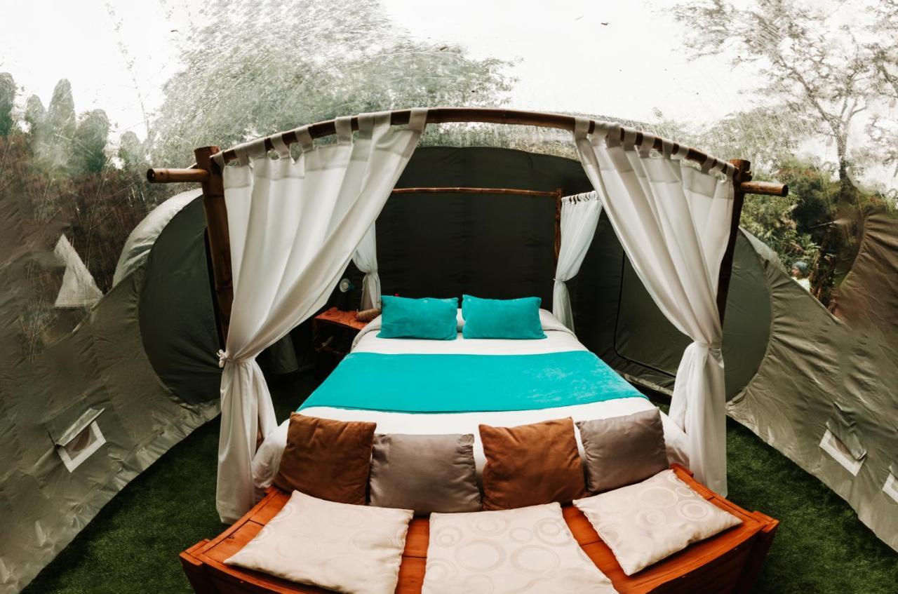 Mindo Glambird Glamping & Lodge Экстерьер фото